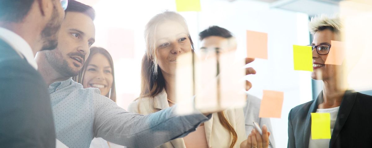 bi-Public-Solutions_5:2